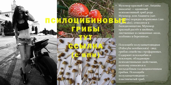 бутират Алзамай