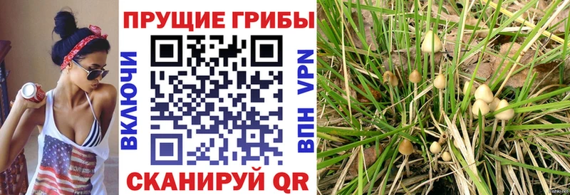 Галлюциногенные грибы мухоморы  Белебей 
